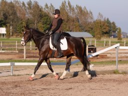 IMG_7548_web